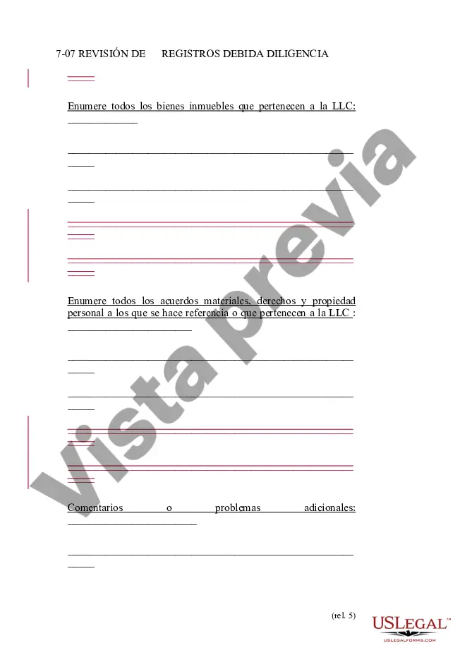 Preview Resumen de datos de la compañía de responsabilidad limitada