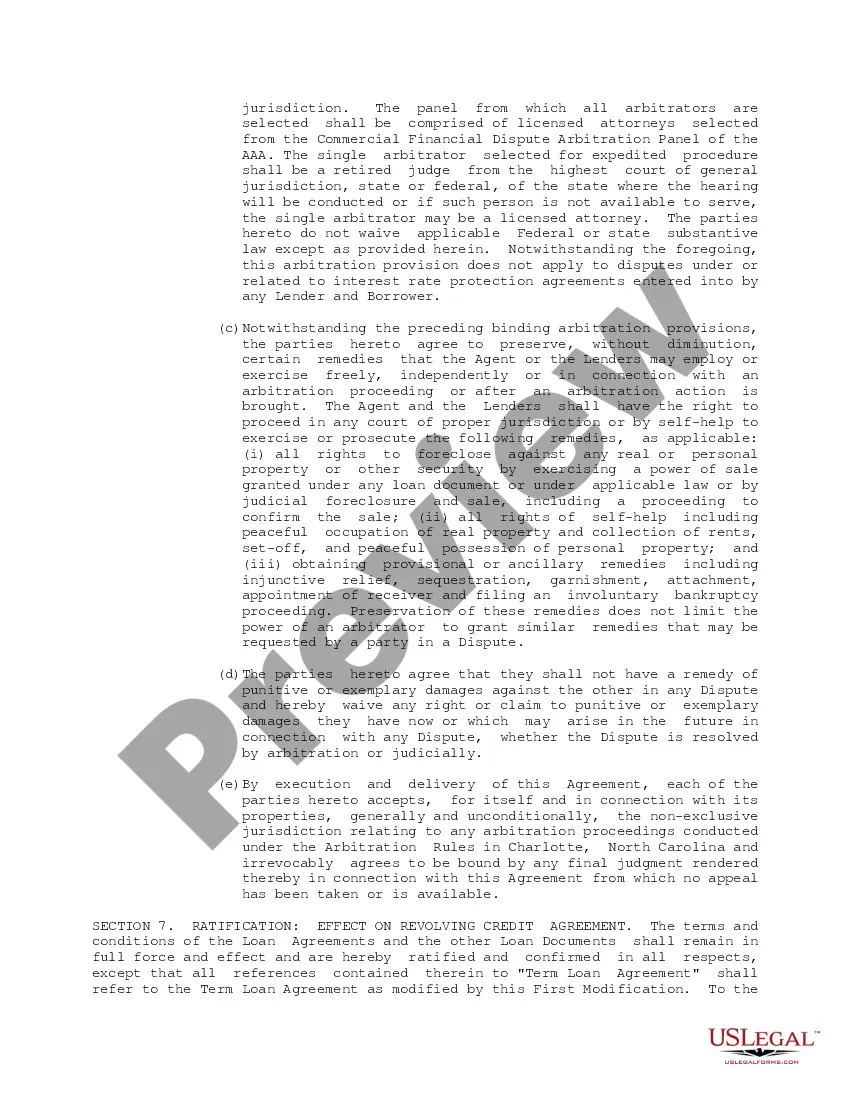 Preview Term Loan Agreement