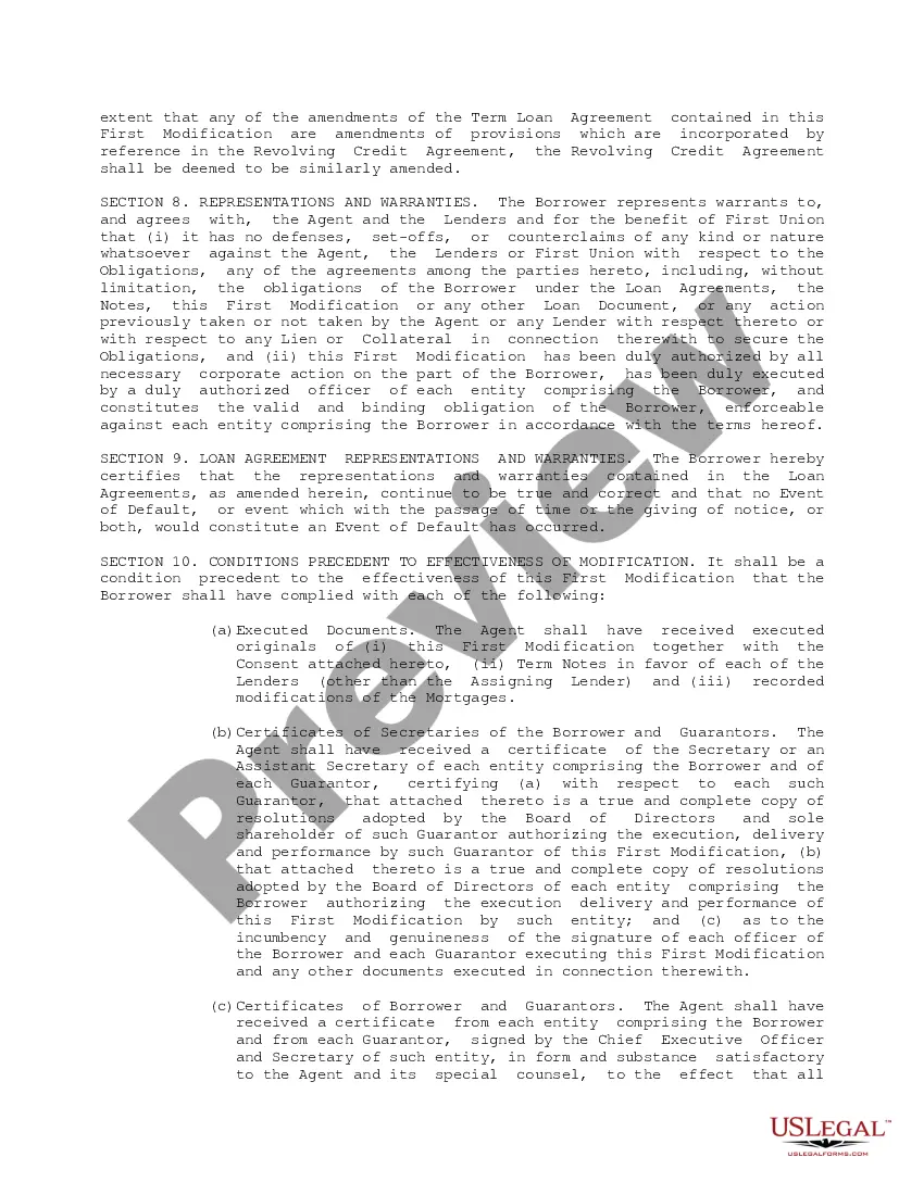 Preview Term Loan Agreement