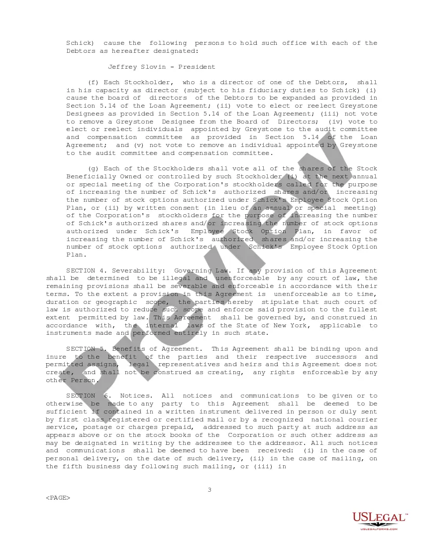 Preview Stockholders Agreement between Schick Technologies, Inc., David Schick, Allen Schick, and Greystone Funding Corp