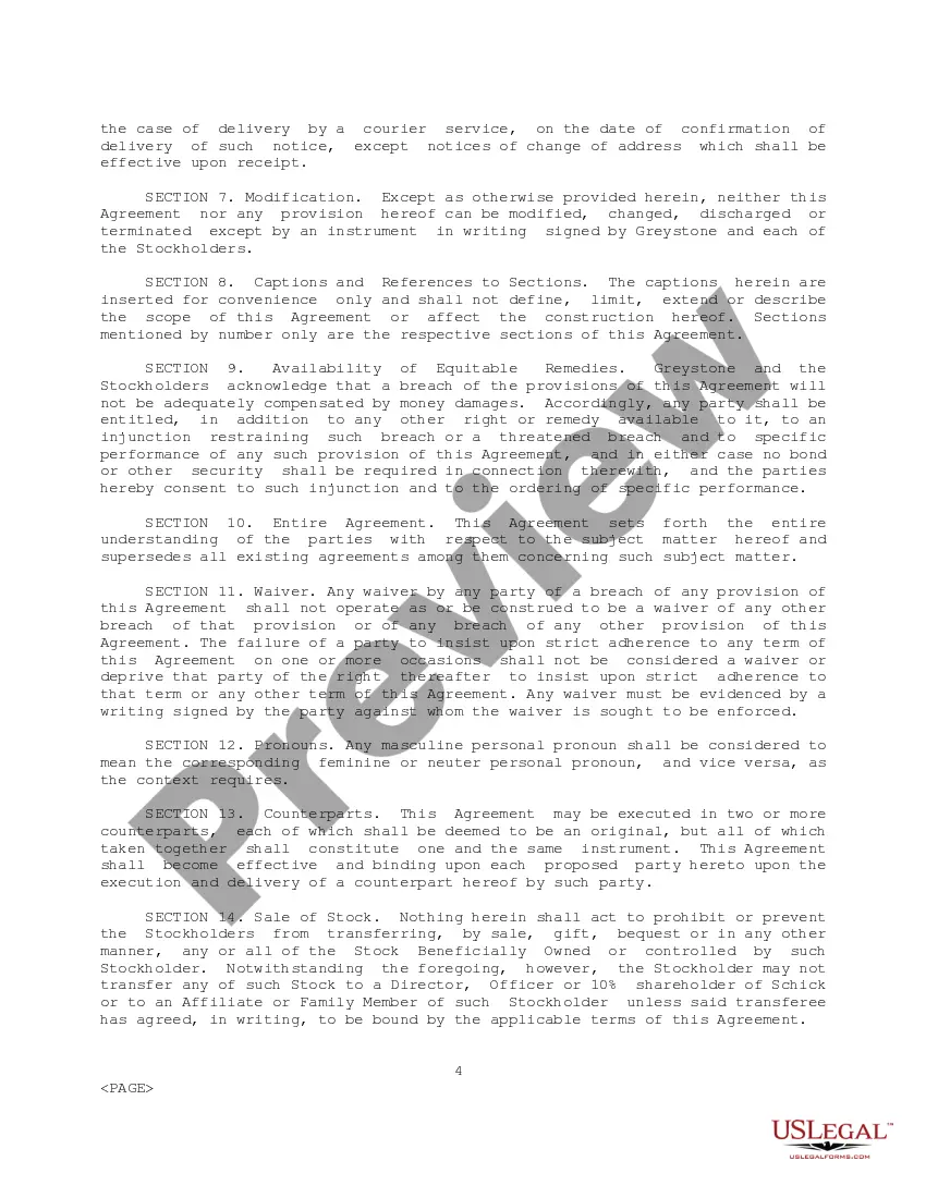 Preview Stockholders Agreement between Schick Technologies, Inc., David Schick, Allen Schick, and Greystone Funding Corp