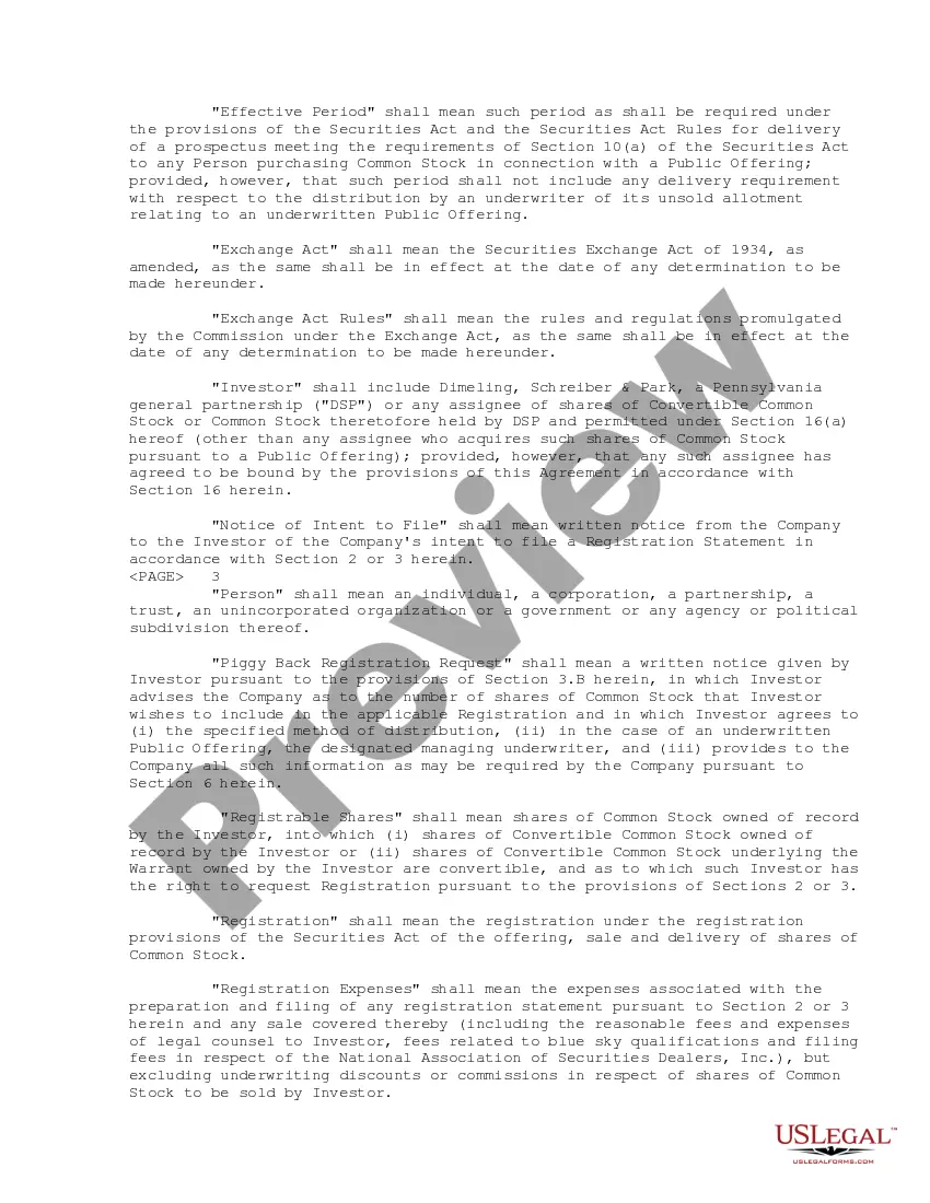 Preview Registration Rights Agreement between Chief Consolidated Mining Company and Dimeling