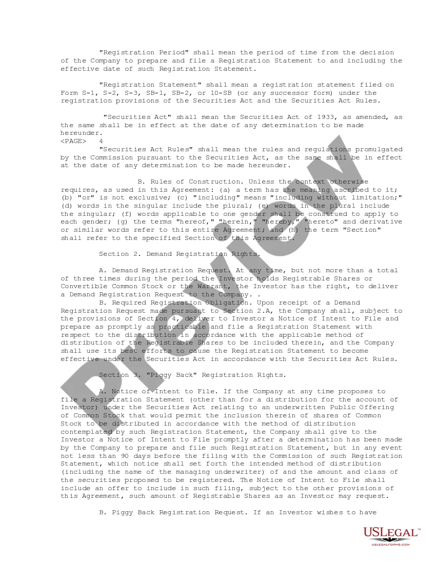 Preview Registration Rights Agreement between Chief Consolidated Mining Company and Dimeling