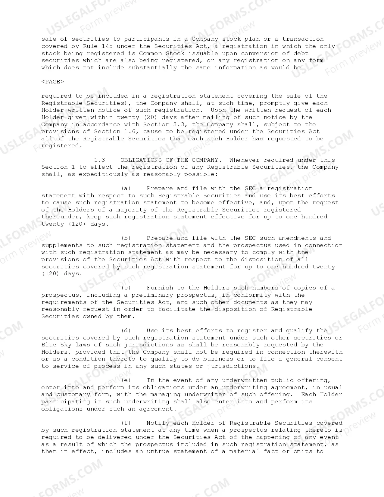 Preview Investor's Rights Agreement of BirthdayExpress.com