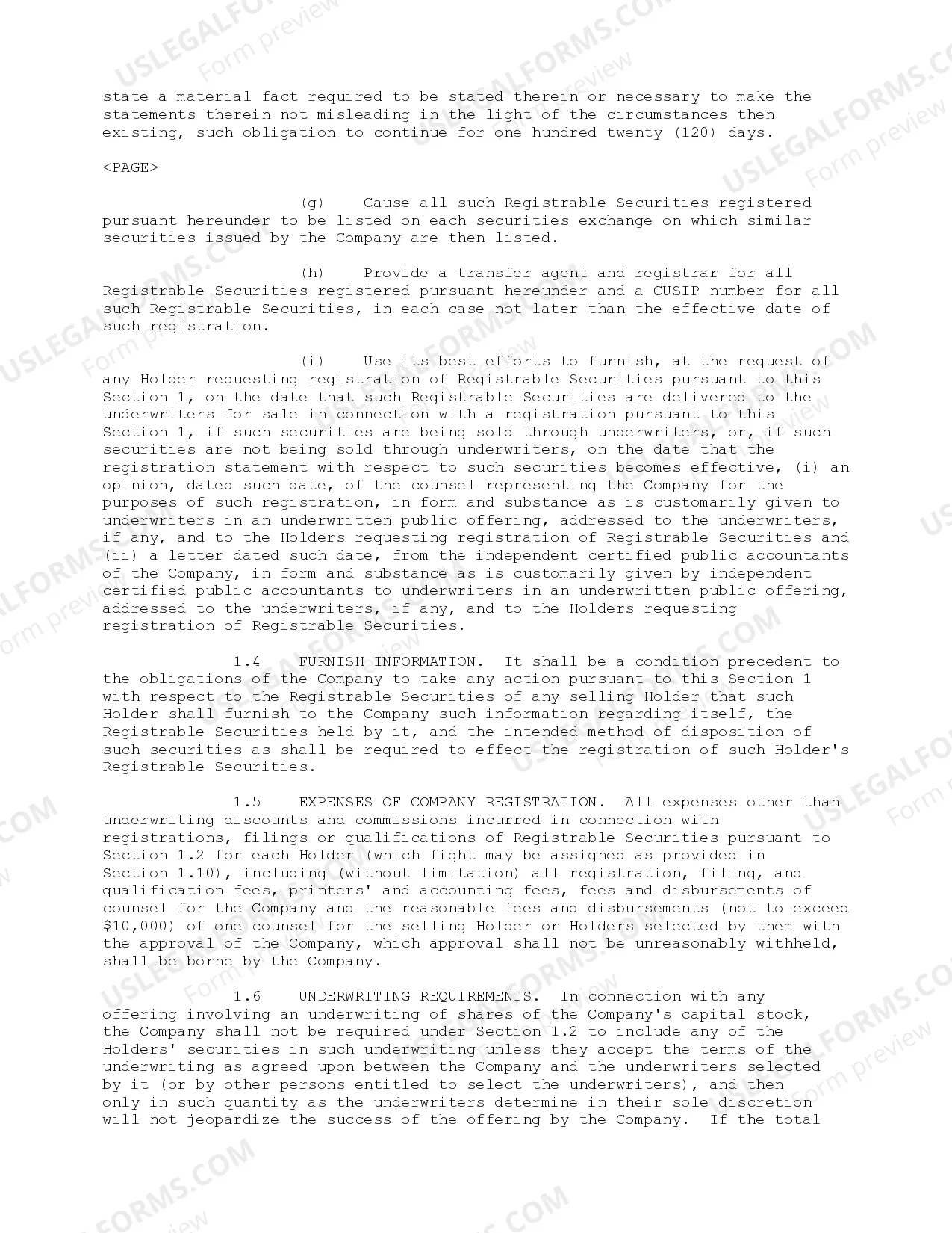 Preview Investor's Rights Agreement of BirthdayExpress.com