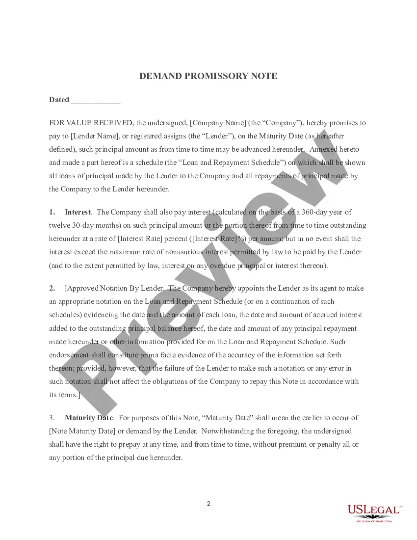Preview Demand Promissory Note