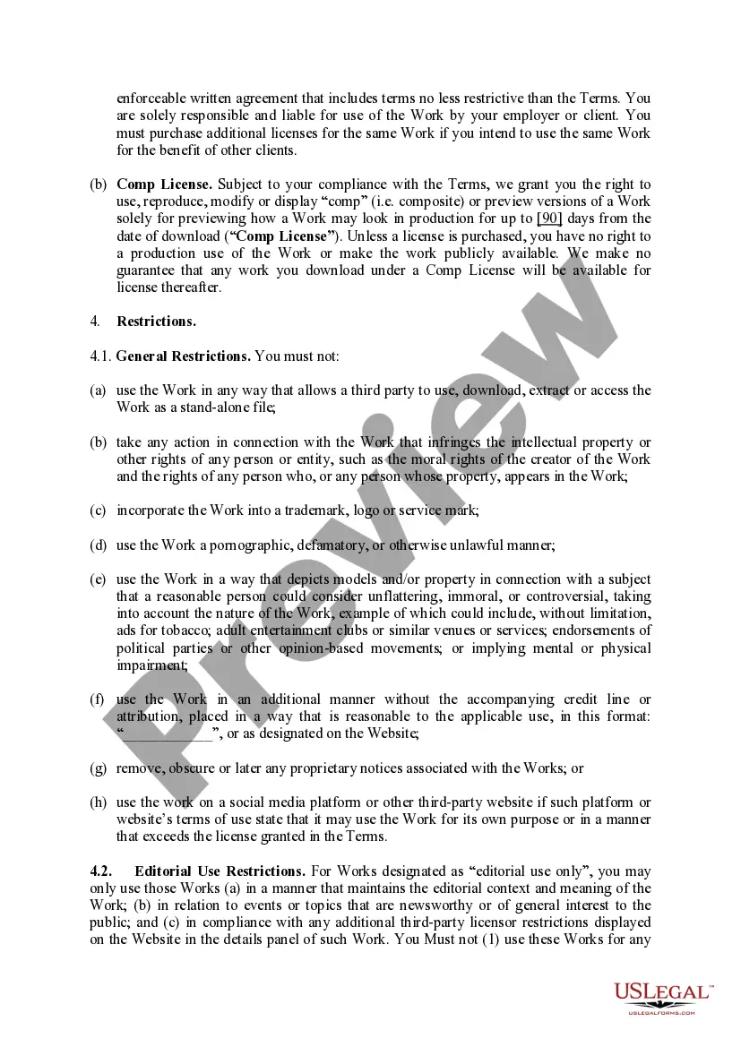 Preview Additional Terms - Standard License