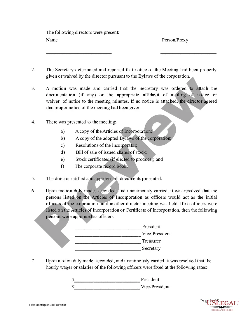 Get First Meeting Minutes of Sole Director Preview First Meeting Minutes of Sole Director