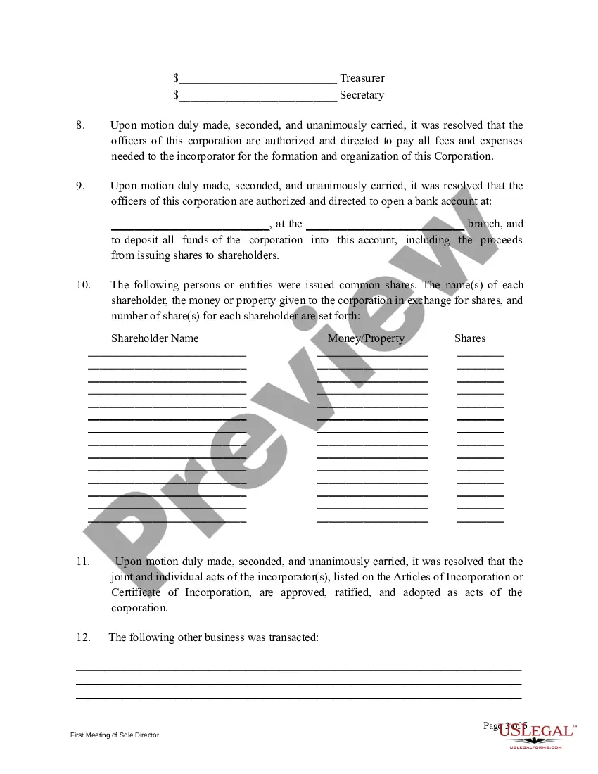 Get First Meeting Minutes of Sole Director Preview First Meeting Minutes of Sole Director