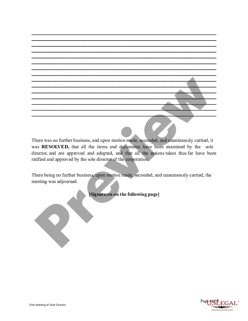 Get First Meeting Minutes of Sole Director Preview First Meeting Minutes of Sole Director