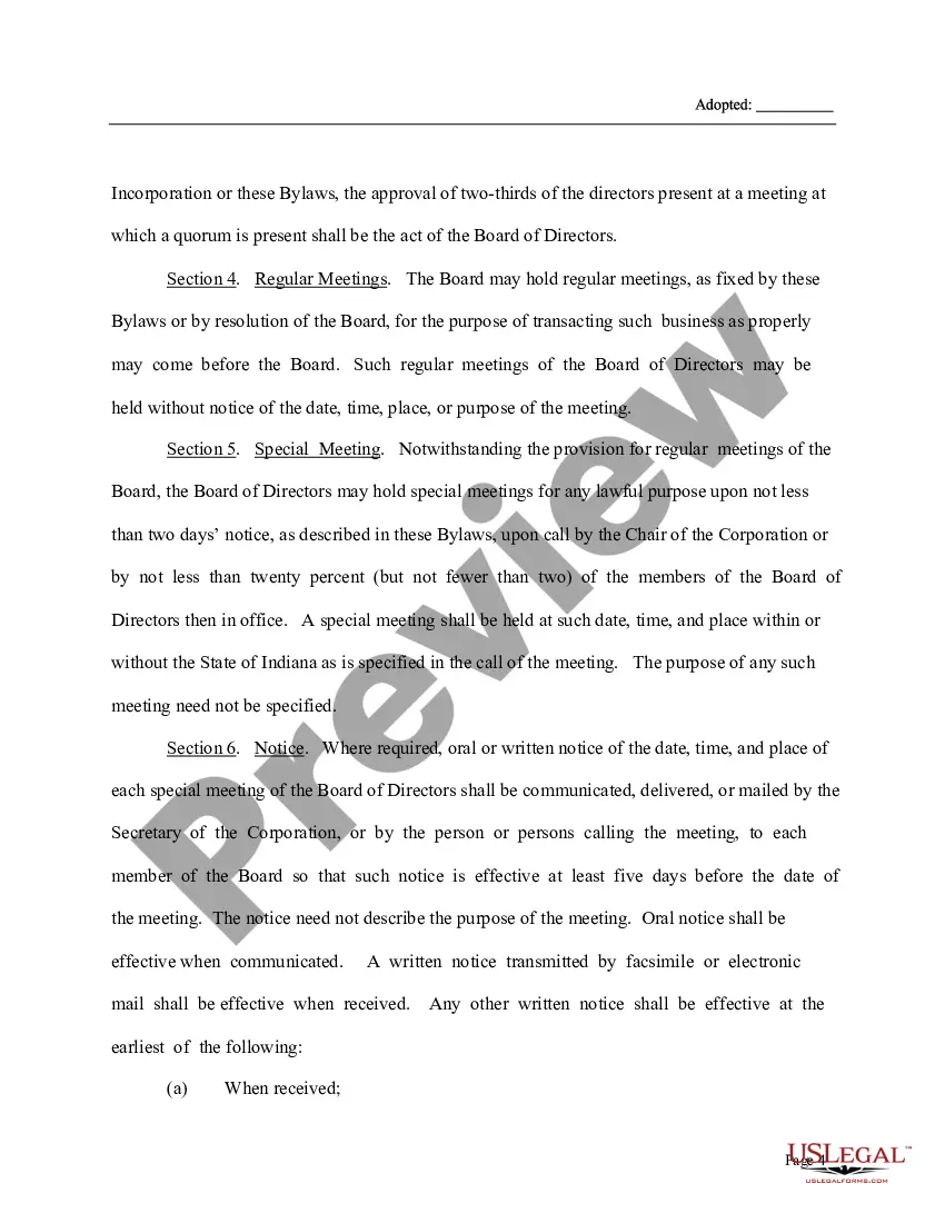 Preview Action by Written Consent in Lieu of Organizational Meeting 