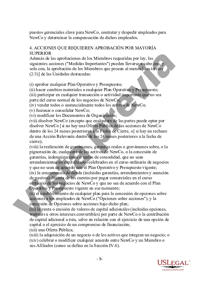 Preview Memorándum de entendimiento para la empresa conjunta de comercio electrónico ABC, Inc.