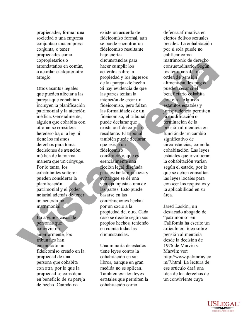 Preview Guía legal de EE. UU. para el matrimonio de derecho consuetudinario