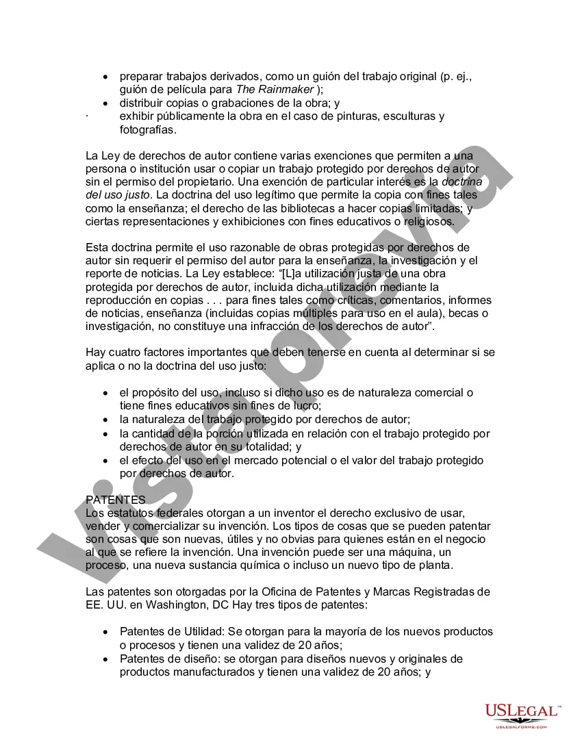 Preview Guía legal de EE. UU. sobre los derechos de propiedad intelectual