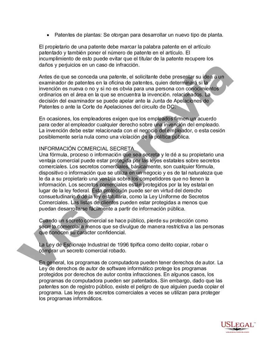 Preview Guía legal de EE. UU. sobre los derechos de propiedad intelectual