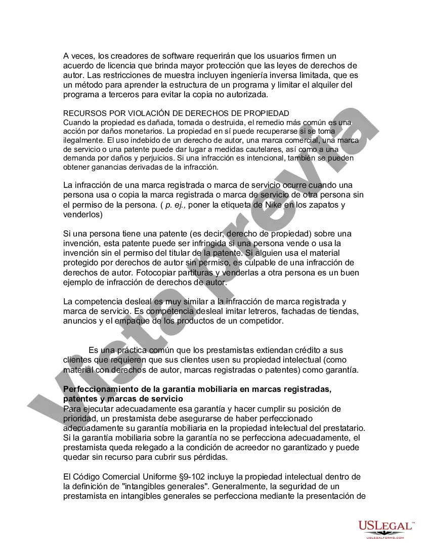 Preview Guía legal de EE. UU. sobre los derechos de propiedad intelectual