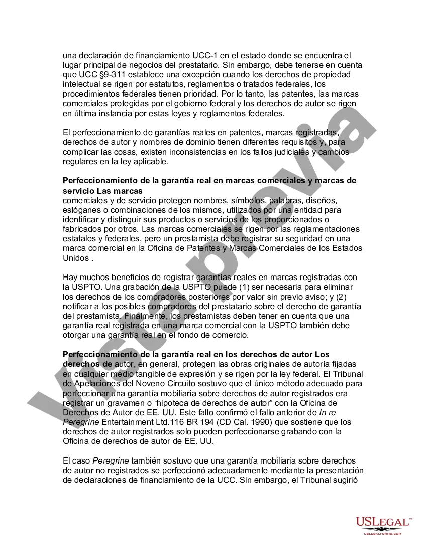Preview Guía legal de EE. UU. sobre los derechos de propiedad intelectual