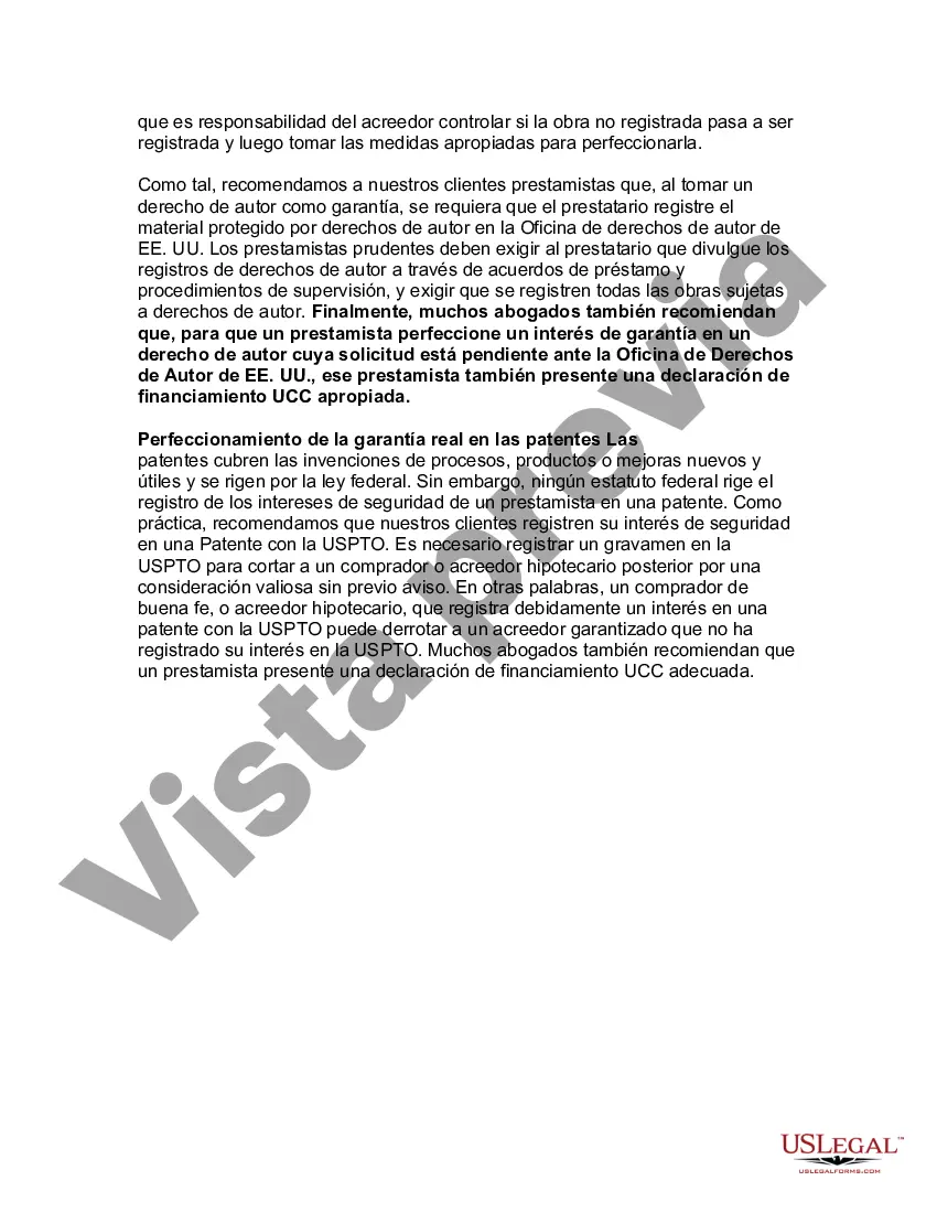 Preview Guía legal de EE. UU. sobre los derechos de propiedad intelectual
