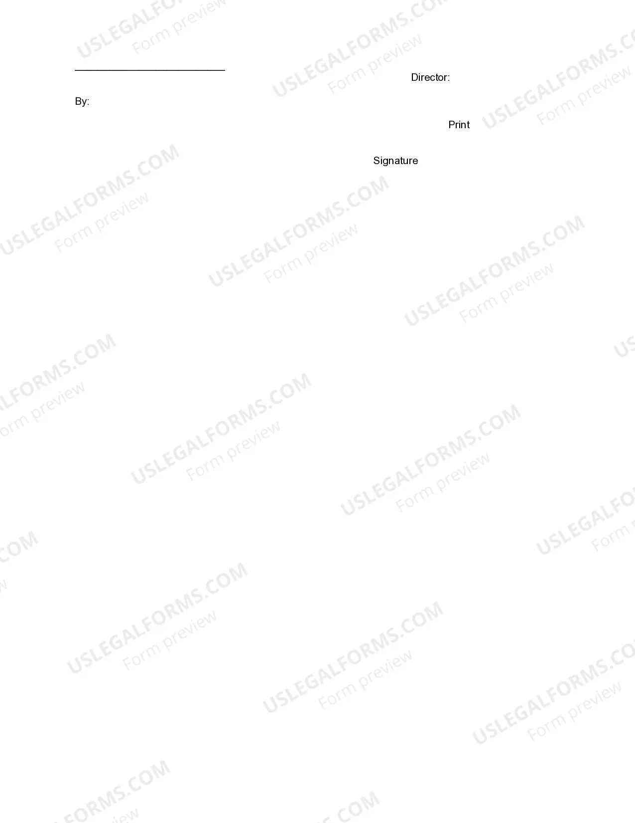 Preview Director's Services Agreement