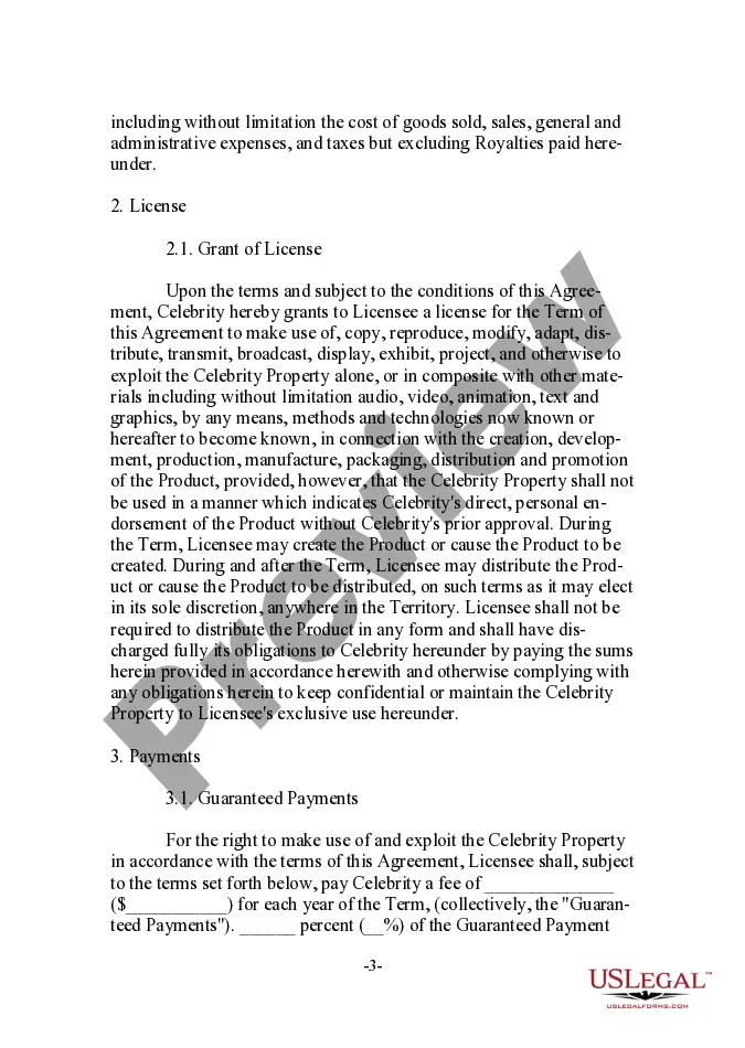 Preview Complex Endorsement Agreement