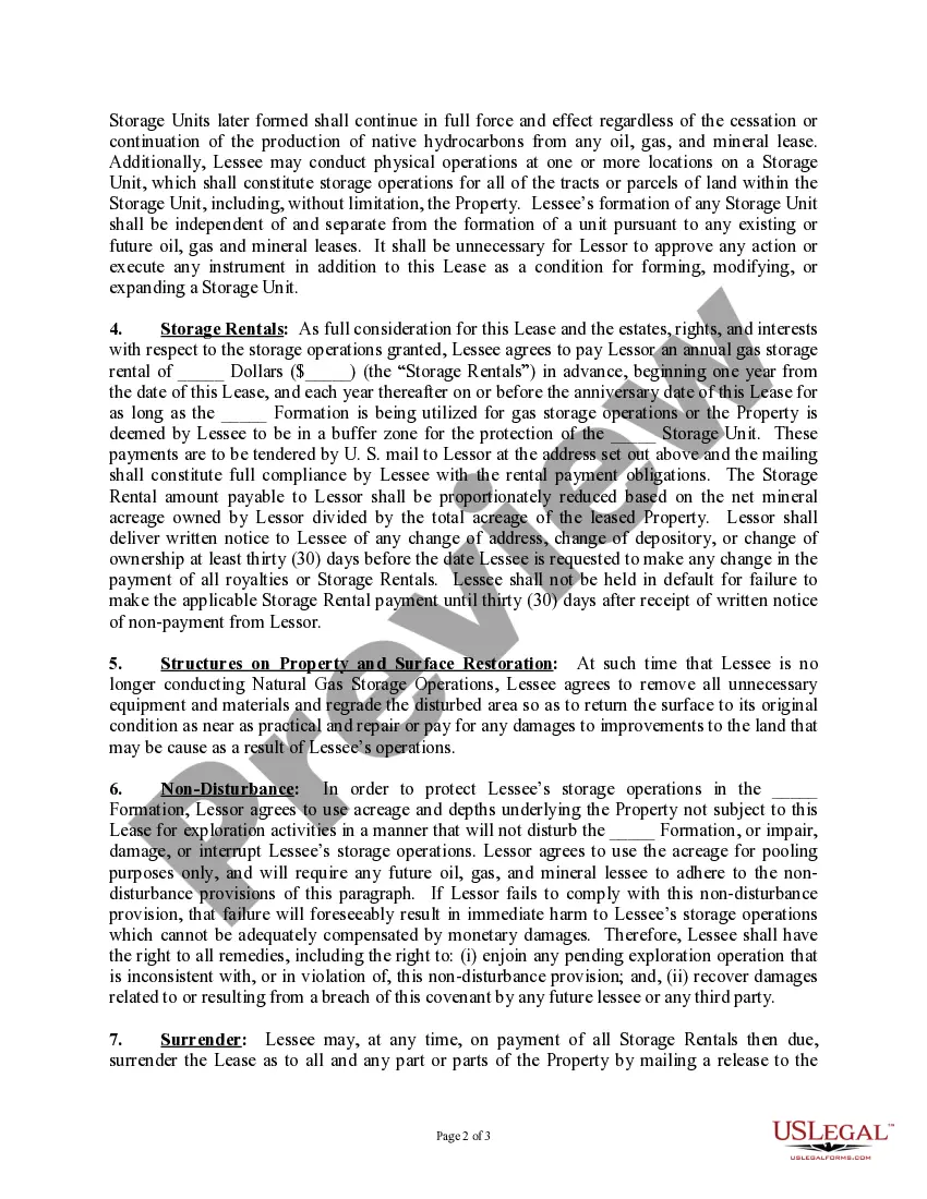 Preview Natural Gas Storage Lease