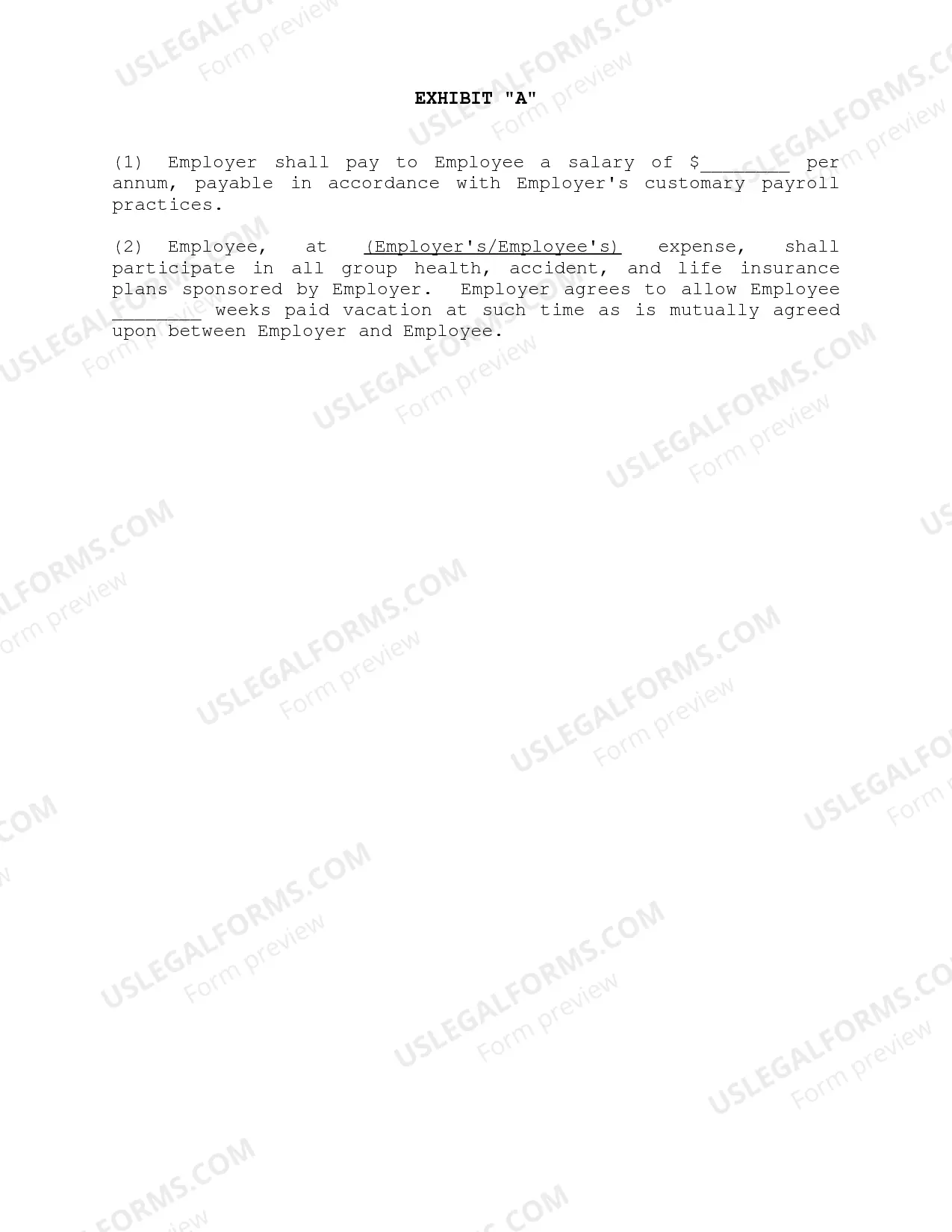 Preview Employment Agreement - General