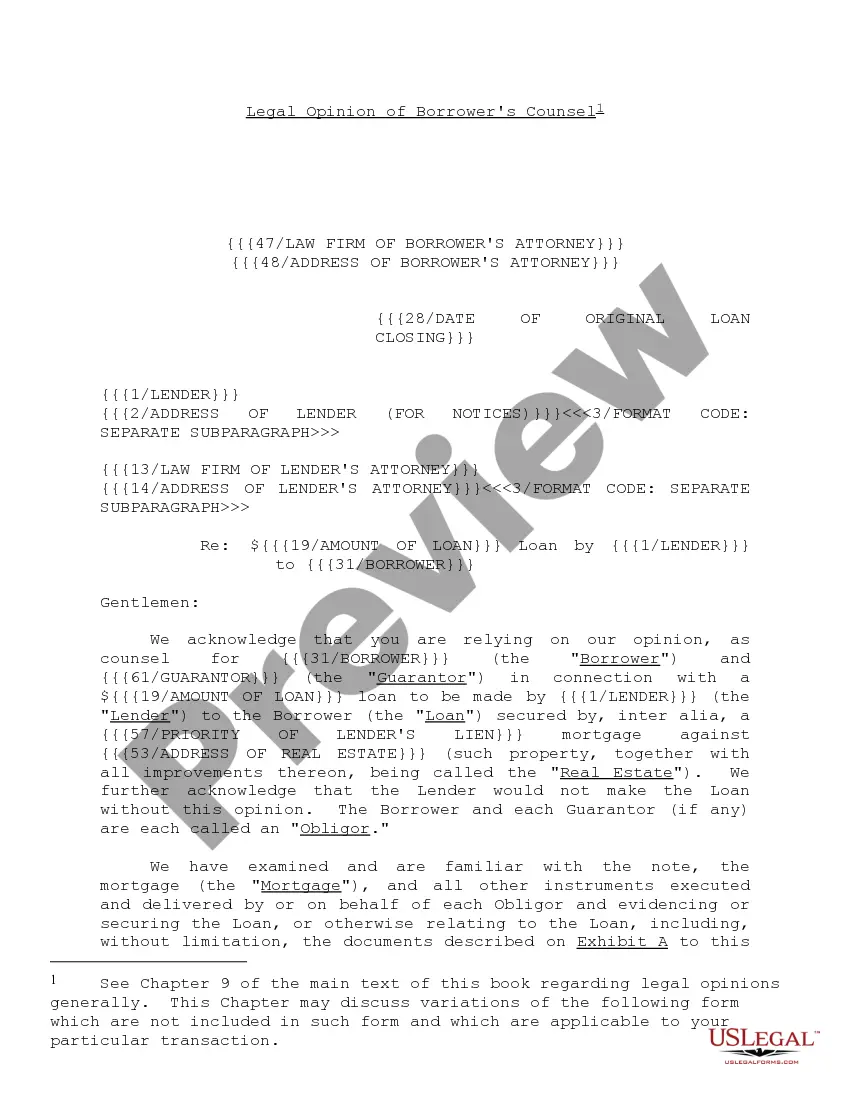 Get Opinion Letter Form and Variations Preview Opinion Letter Form and Variations