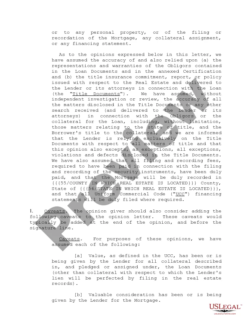 Get Opinion Letter Form and Variations Preview Opinion Letter Form and Variations