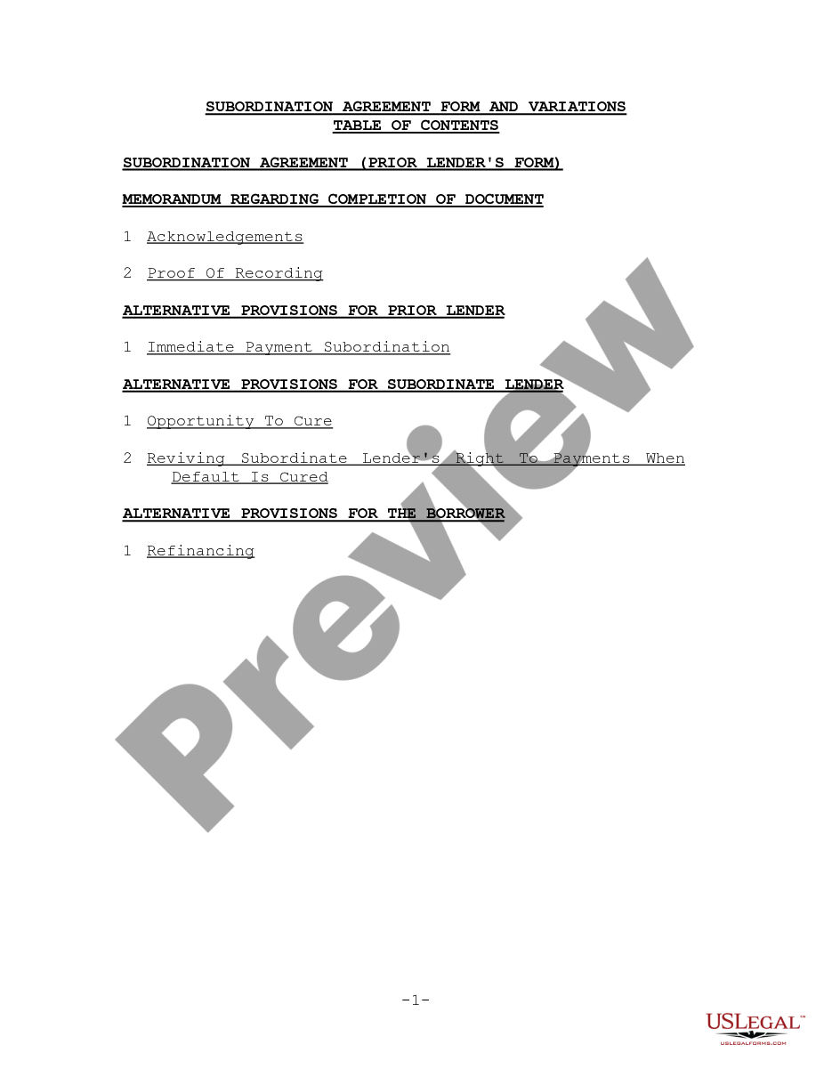 page 0 Subordination Agreement Form and Variations preview