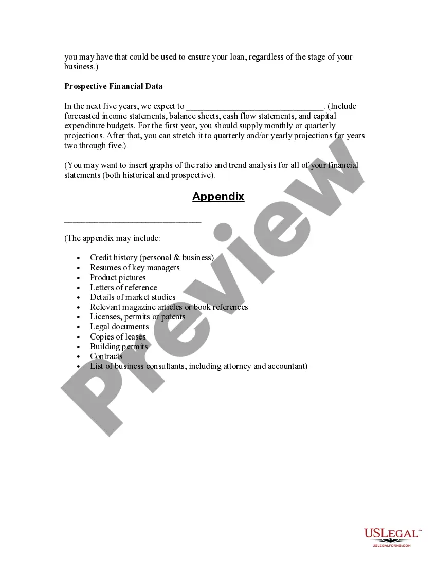 Preview Business Plan Template for Startup