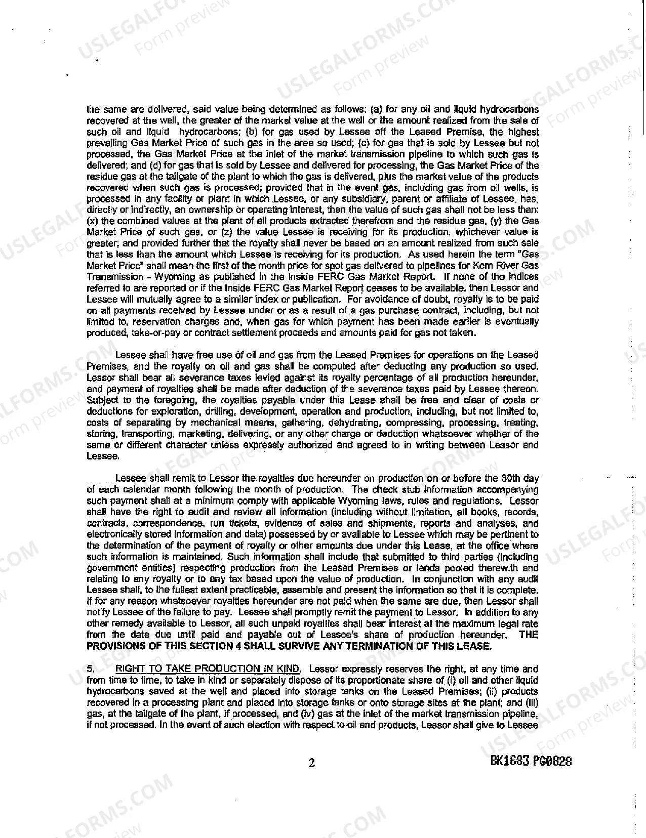 Preview Oil and Gas Lease