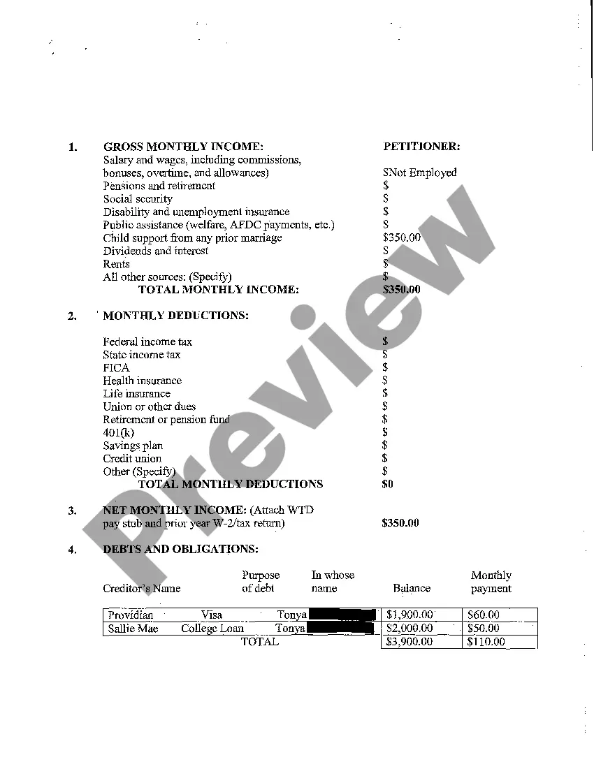 Preview A03 Petitioner's Financial Declaration