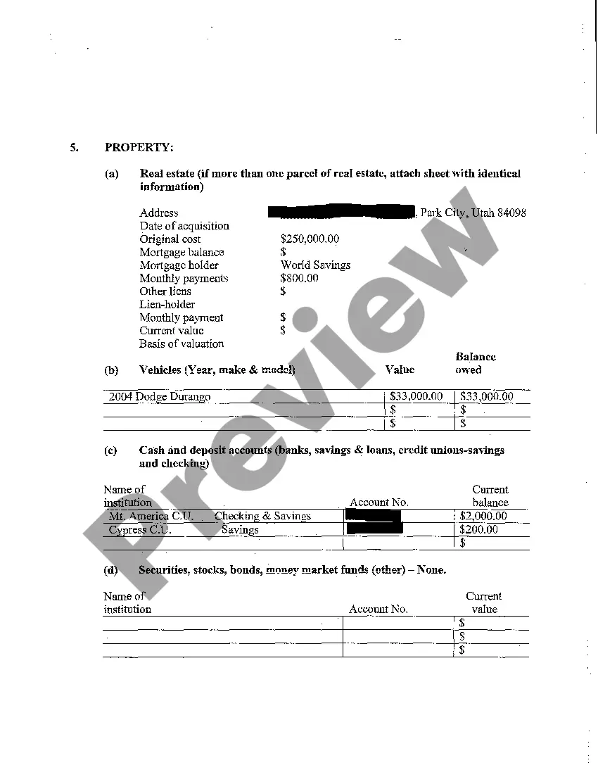 Preview A03 Petitioner's Financial Declaration