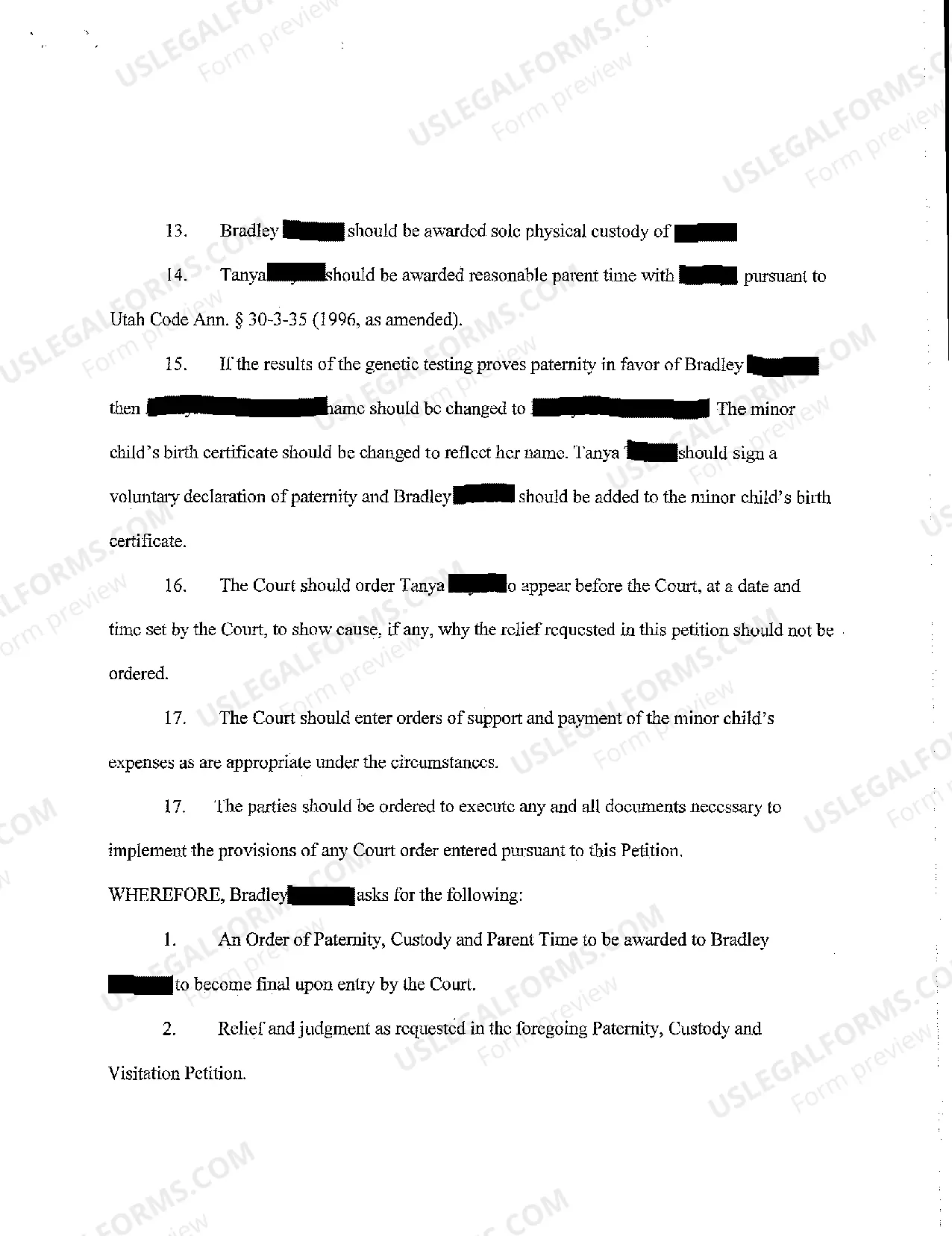 Preview A01 Petition to Establish Paternity, Custody, and Parent Time