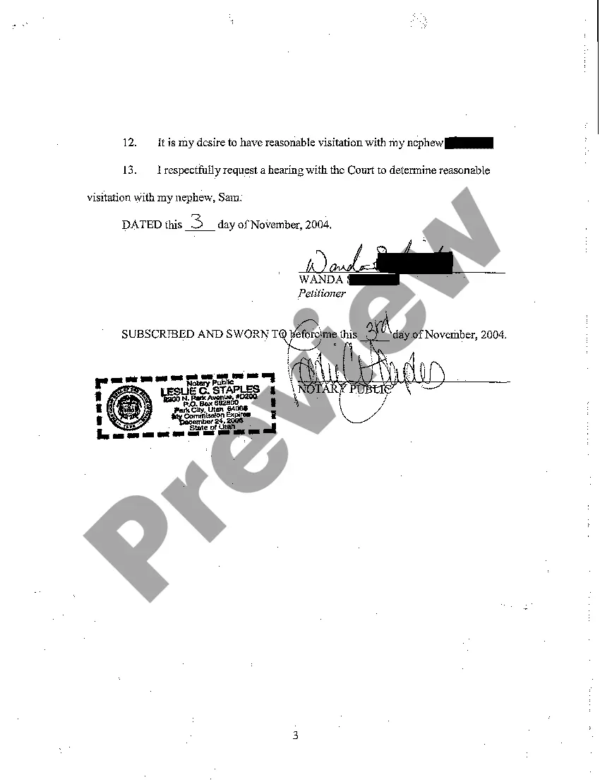 Preview A02 Affidavit in Support of Petition For Grandparents' and Immediate Family Members' Visitation