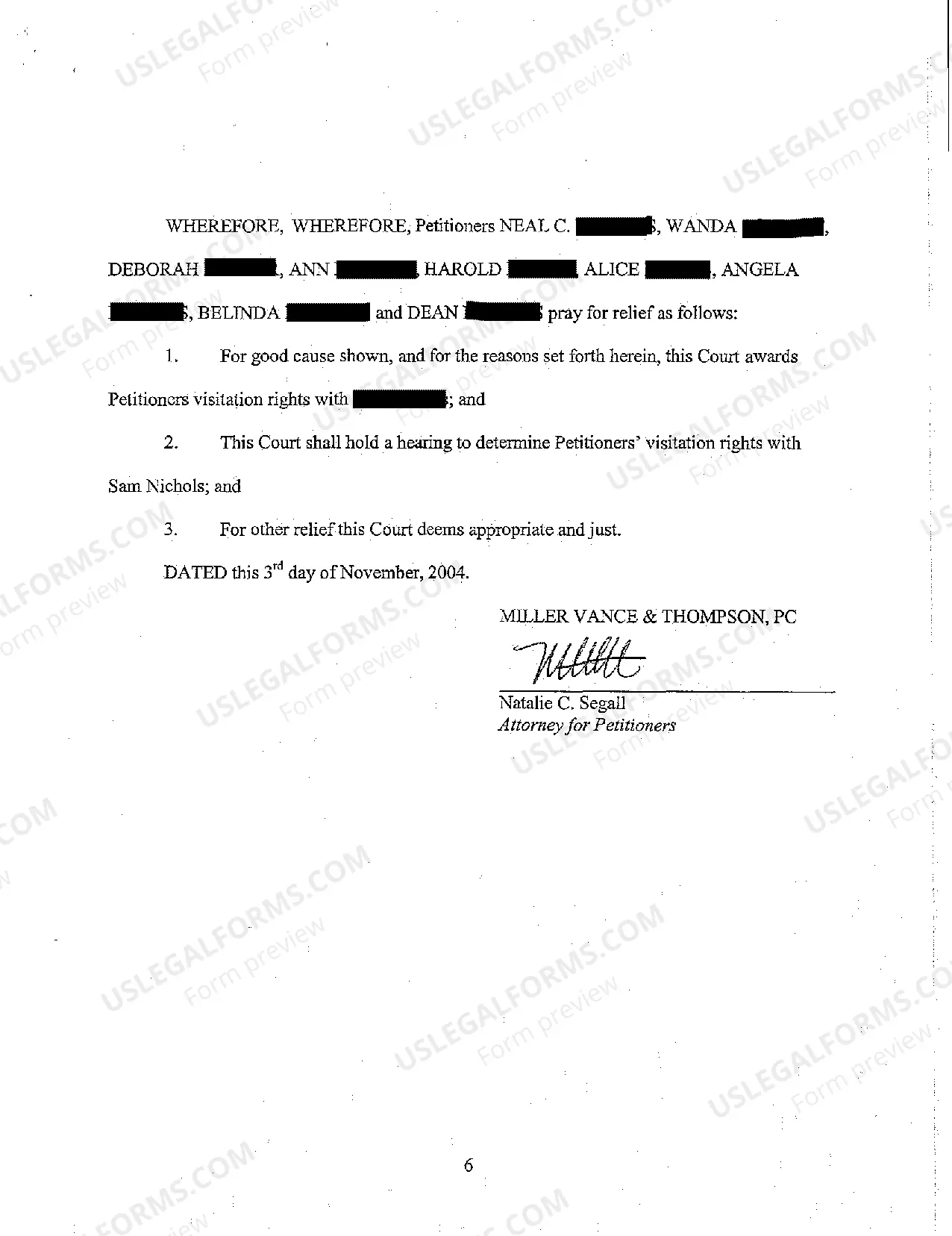 Preview A01 Petition For Grandparents' and Immediate Family Members Visitation