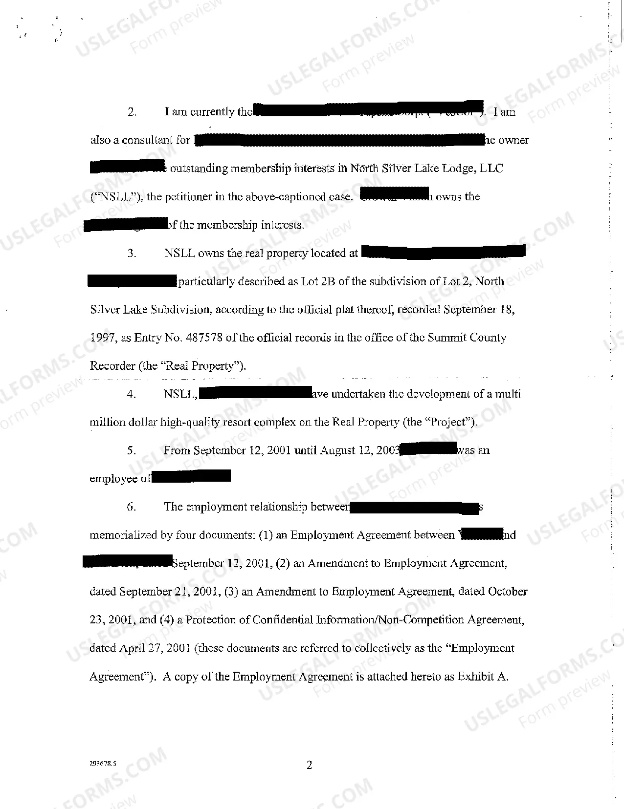 Preview A02 Affidavit of Consulting Agent that Owns Petitioner