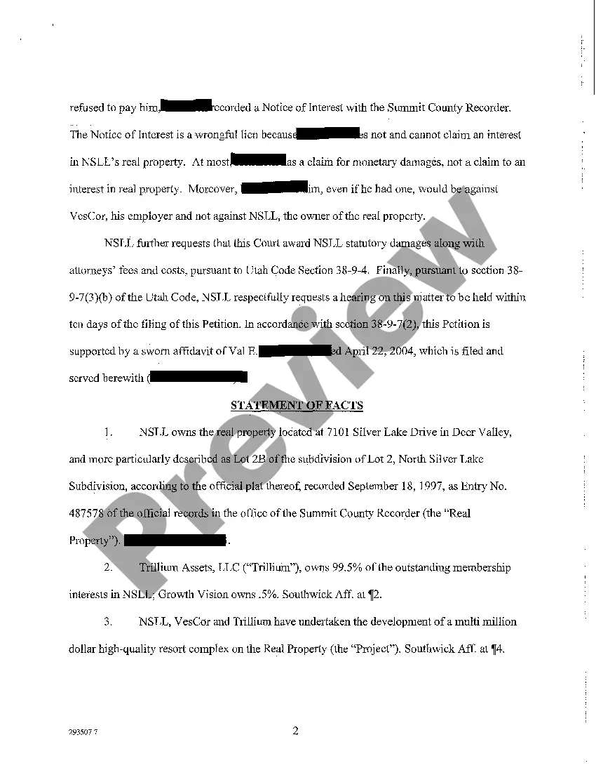 Preview A01 Petition to Nullify Wrongful Lien