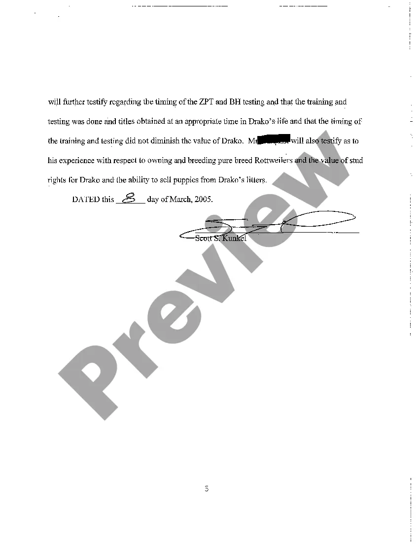 Preview A08 Defendant's Disclosure of Experts