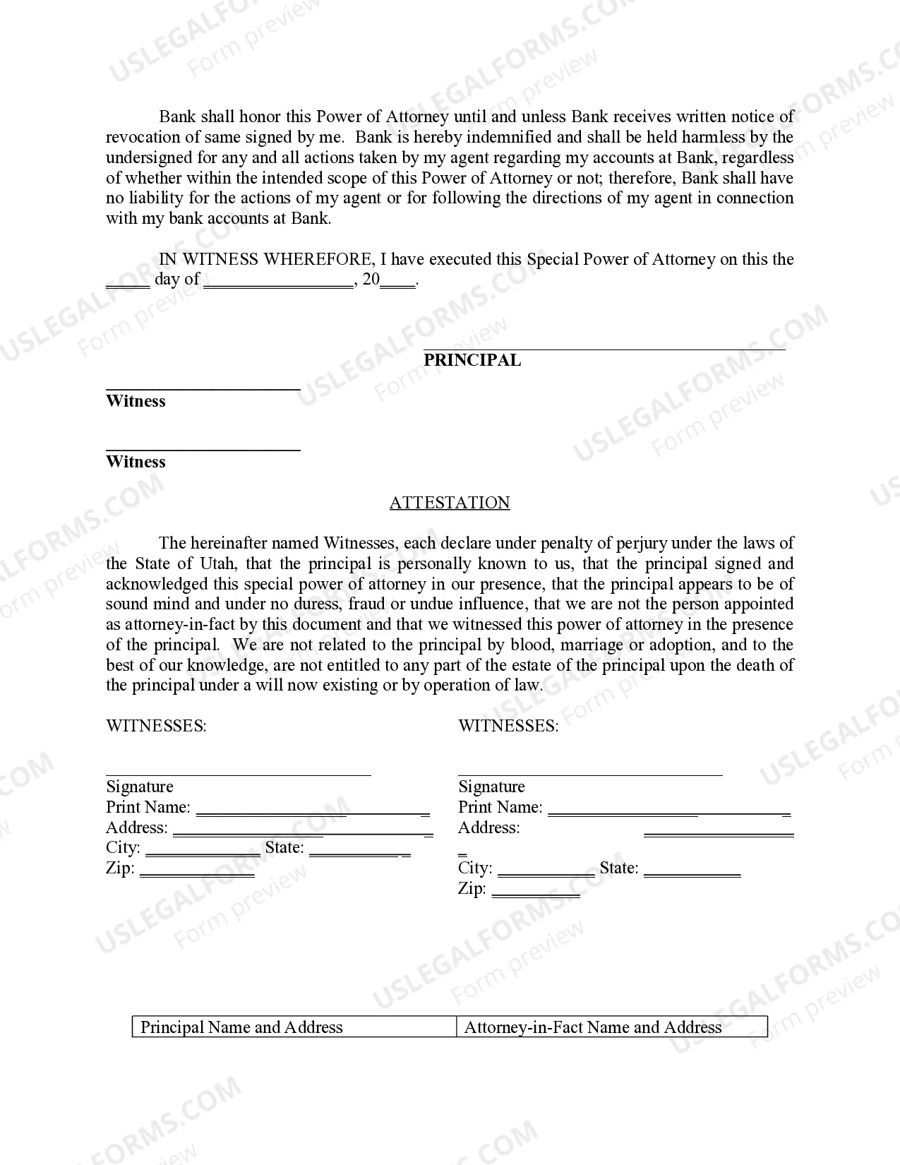 Preview Special Durable Power of Attorney for Bank Account Matters