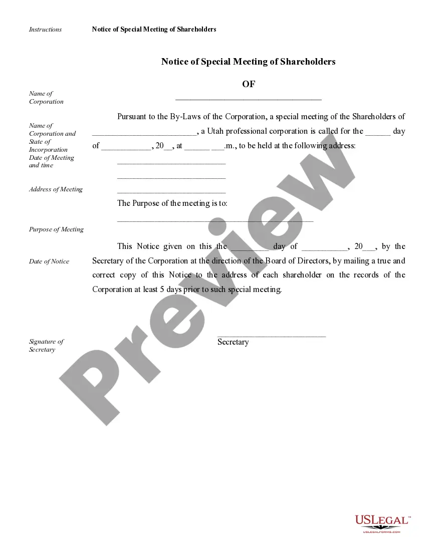 Preview Sample Corporate Records for a Utah Professional Corporation