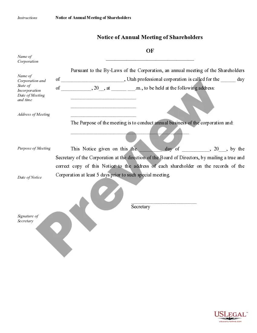 Preview Sample Corporate Records for a Utah Professional Corporation