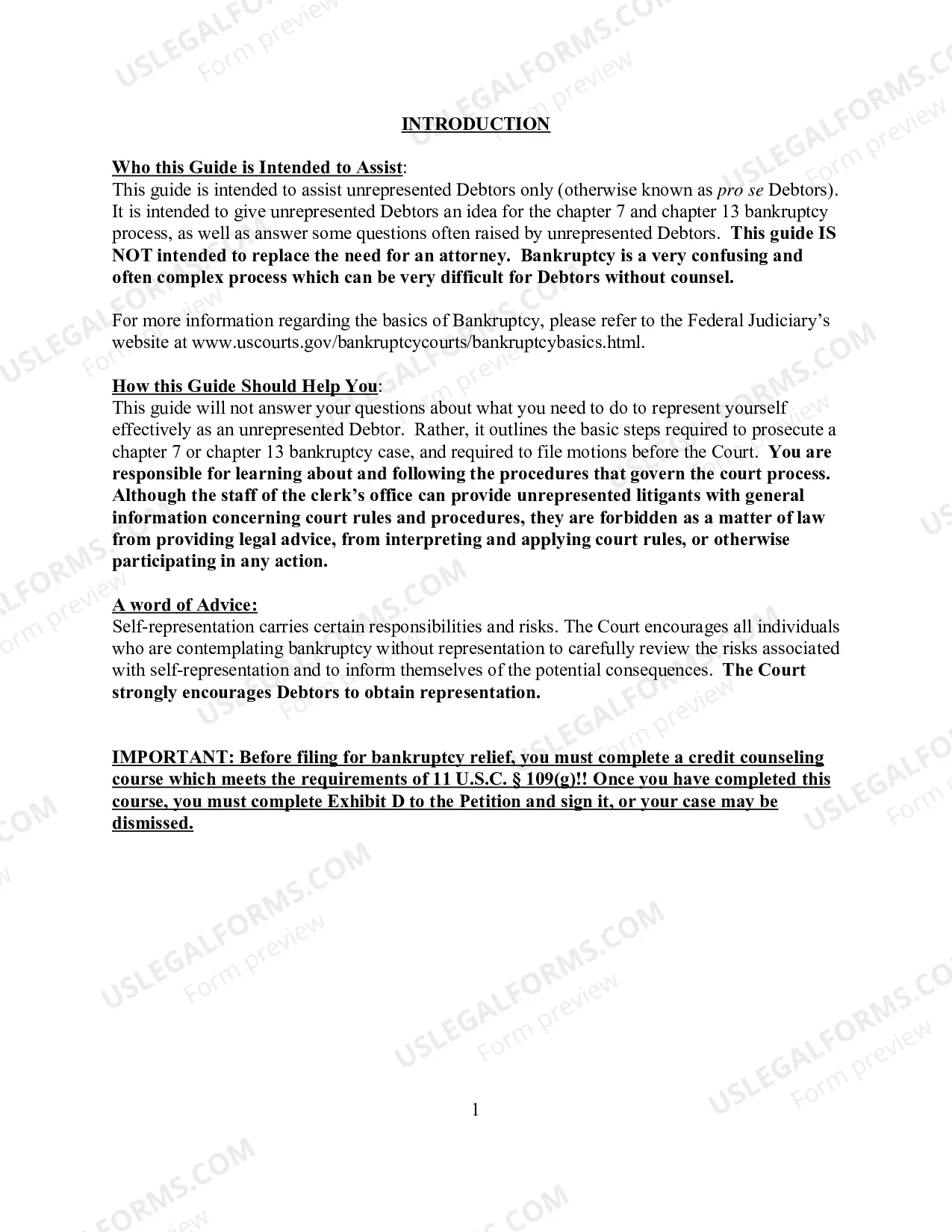 Preview Unrepresented Debtor Packet