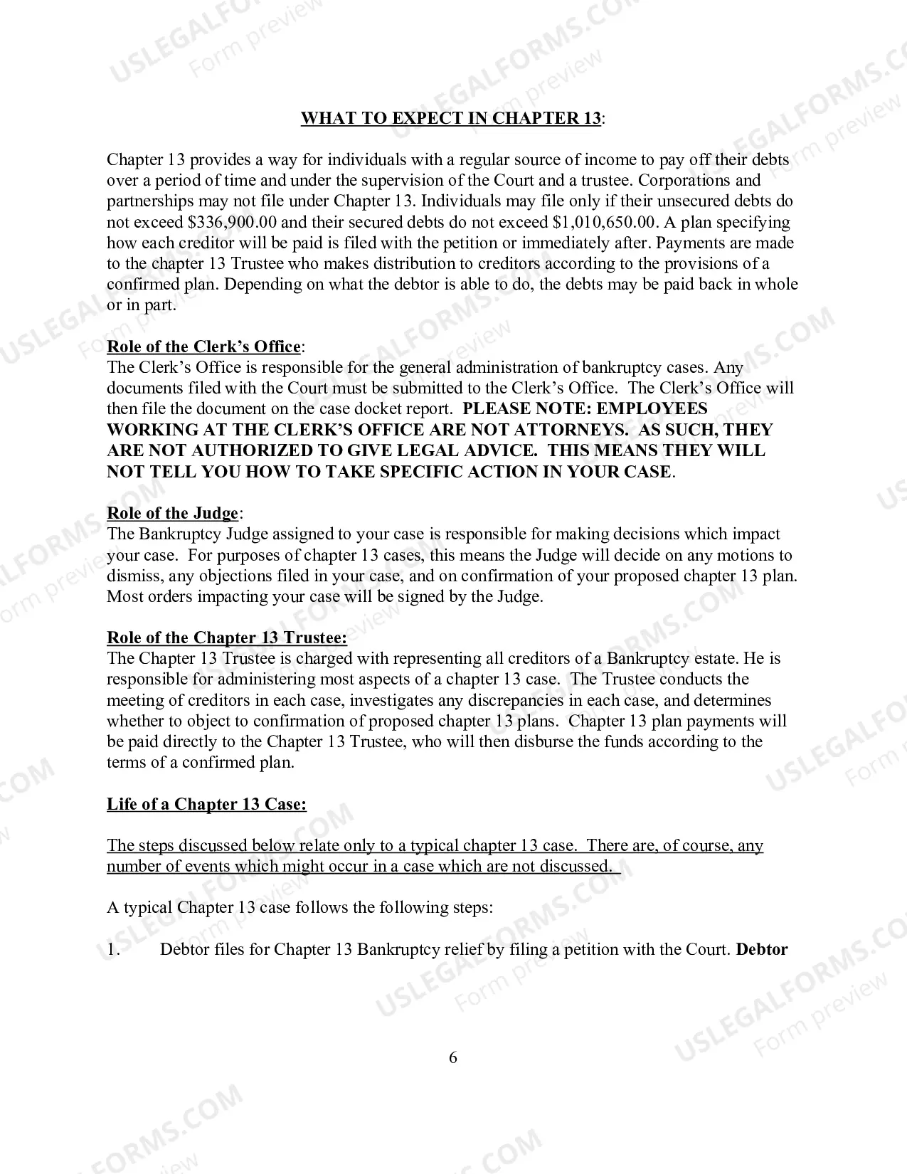 Preview Unrepresented Debtor Packet
