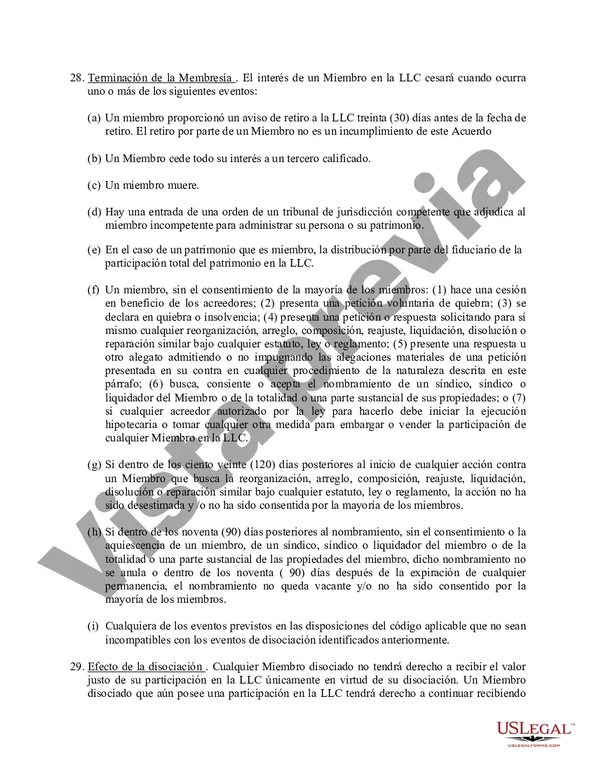 Preview Acuerdo Operativo de Sociedad de Responsabilidad Limitada LLC