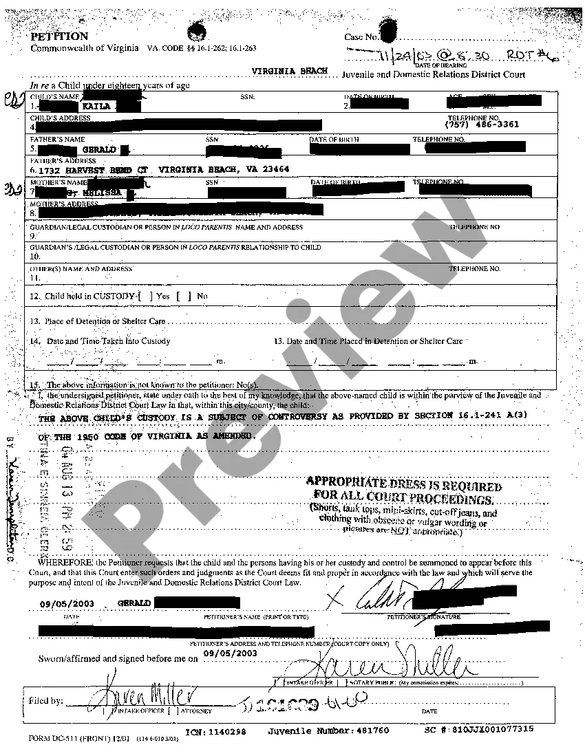 Preview A01 Petition for Custody and Visitation