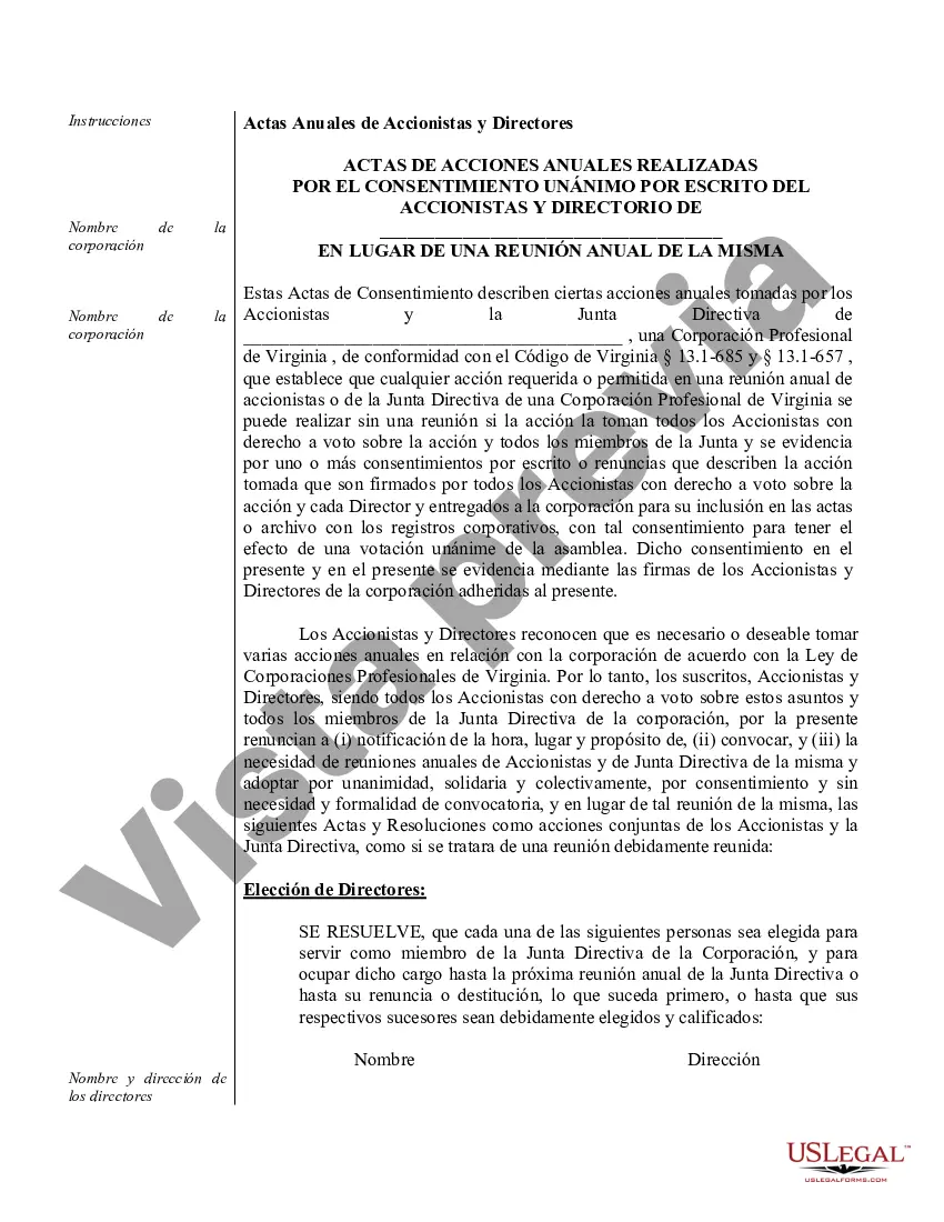 Preview Minutos anuales para una corporación profesional de Virginia