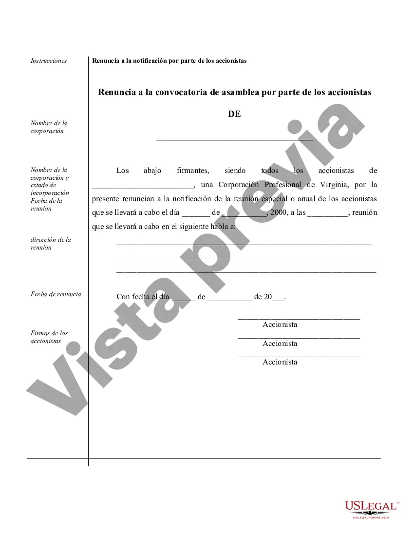 Preview Ejemplos de registros corporativos para una corporación profesional de Virginia