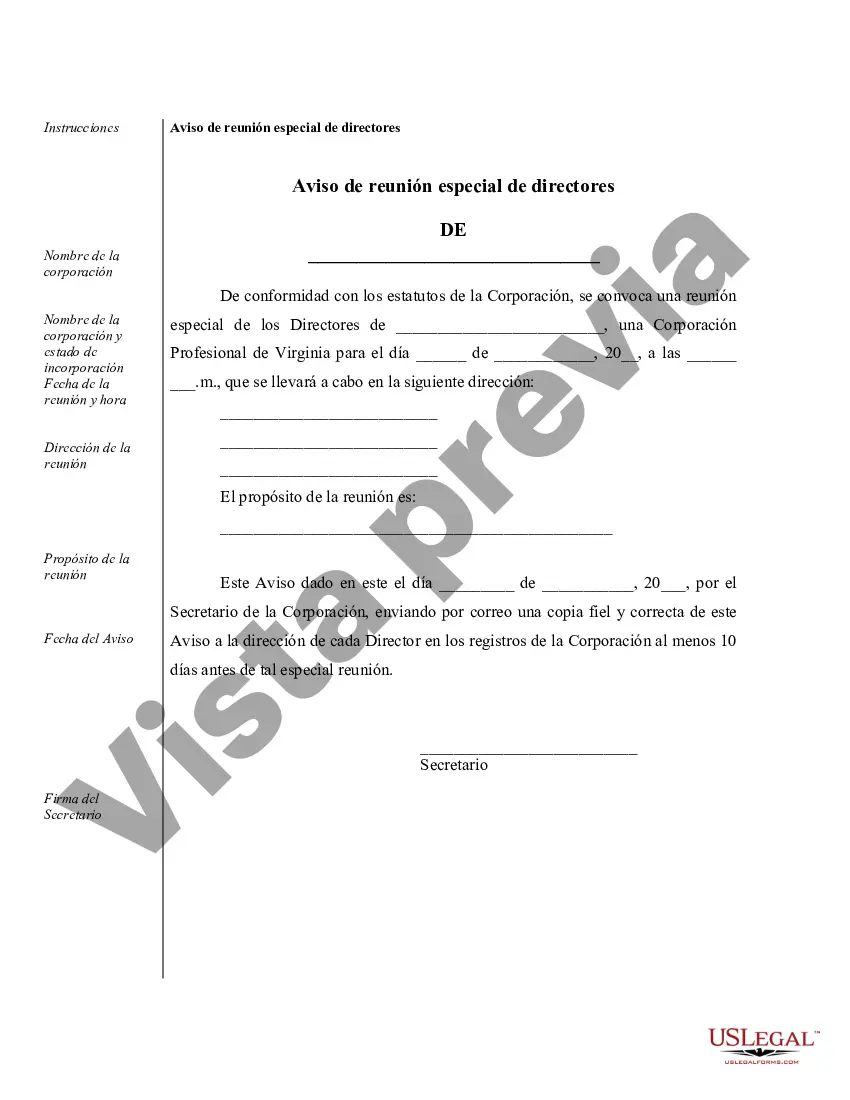 Preview Ejemplos de registros corporativos para una corporación profesional de Virginia