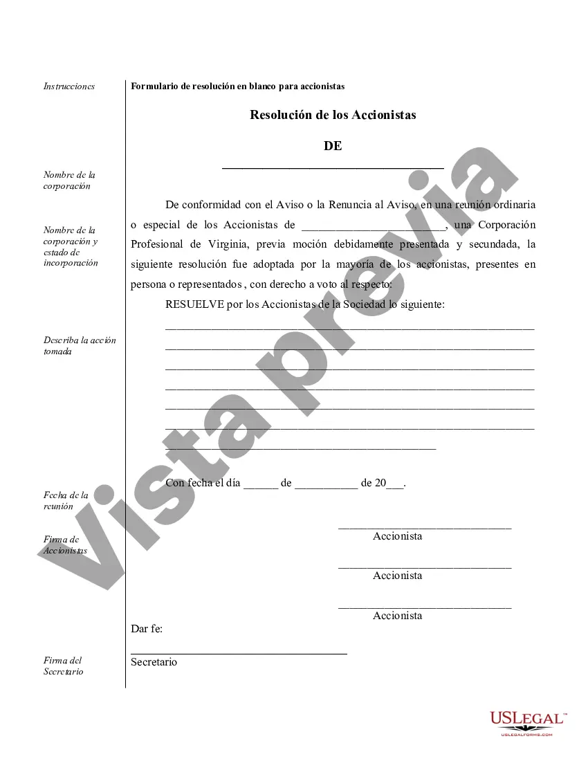 Preview Ejemplos de registros corporativos para una corporación profesional de Virginia